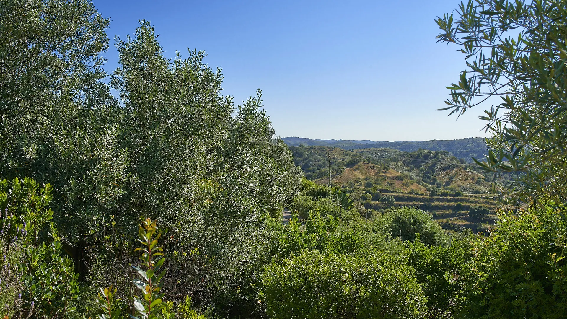 Hotel Rural Quinta Do Marco - Nature & Dining Tavira