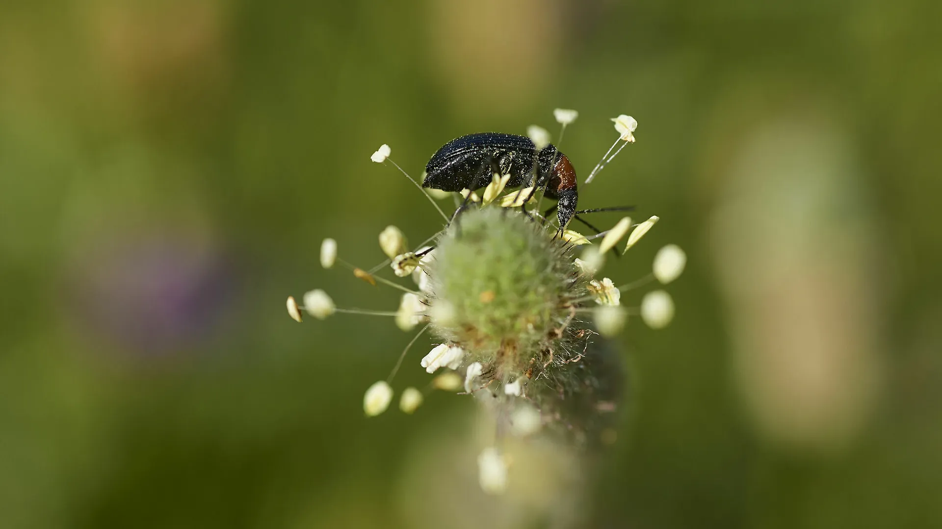 Hotel Rural Quinta Do Marco - Nature & Dining Tavira