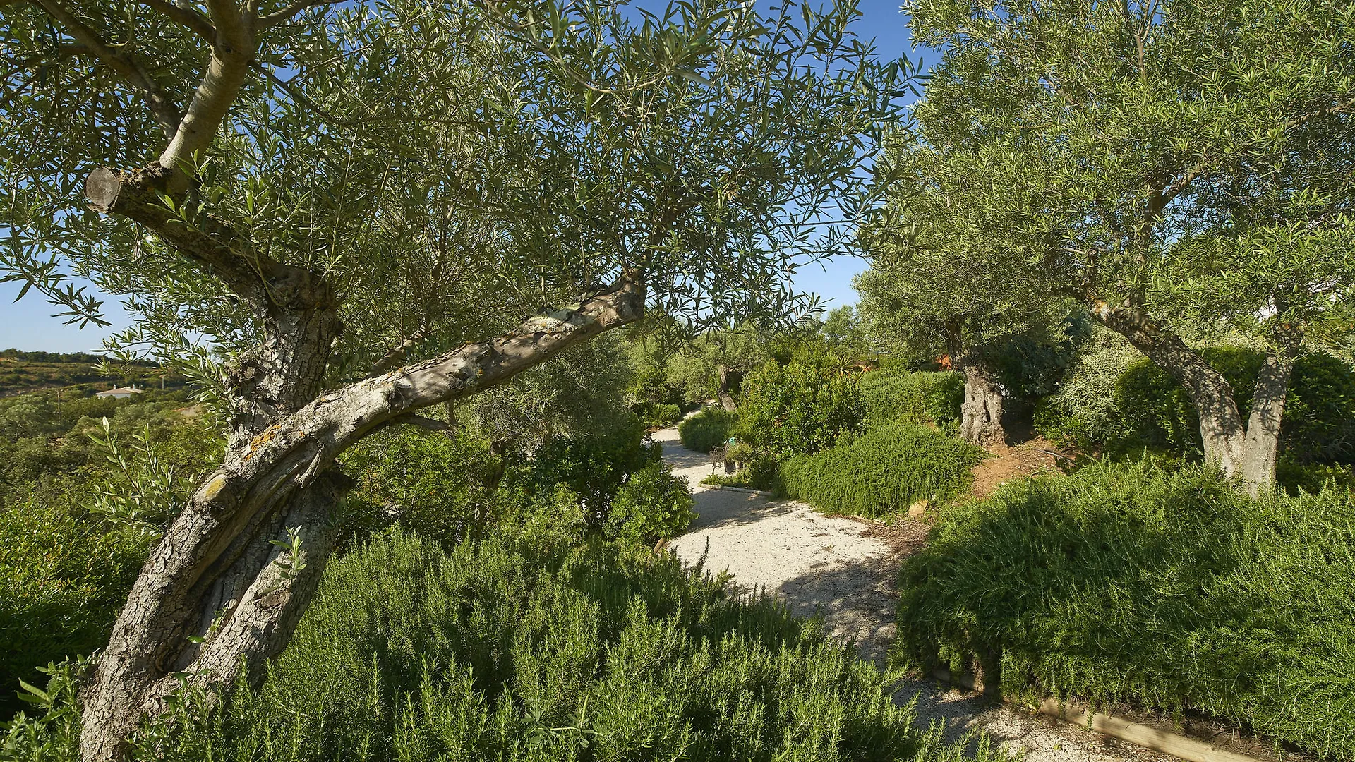 Hotel Rural Quinta Do Marco - Nature & Dining Tavira