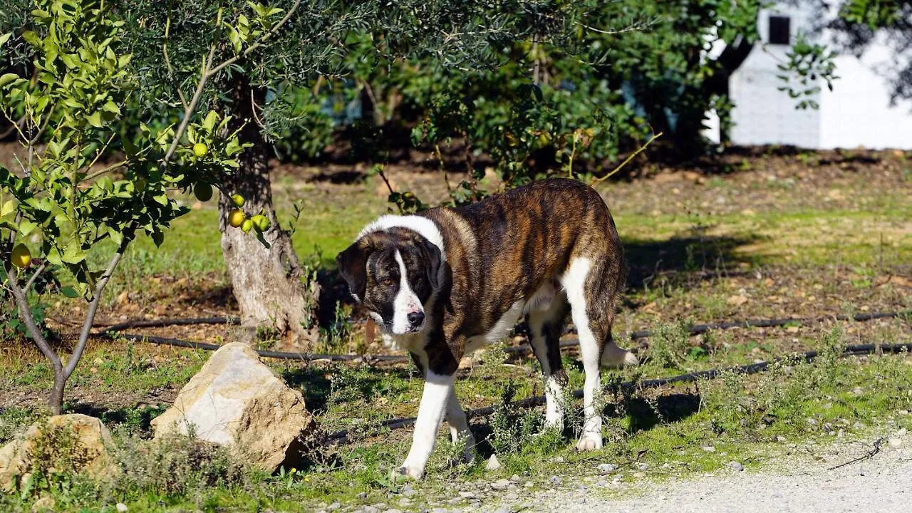 Hotel Rural Quinta Do Marco - Nature & Dining Tavira